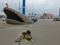 filou (14)